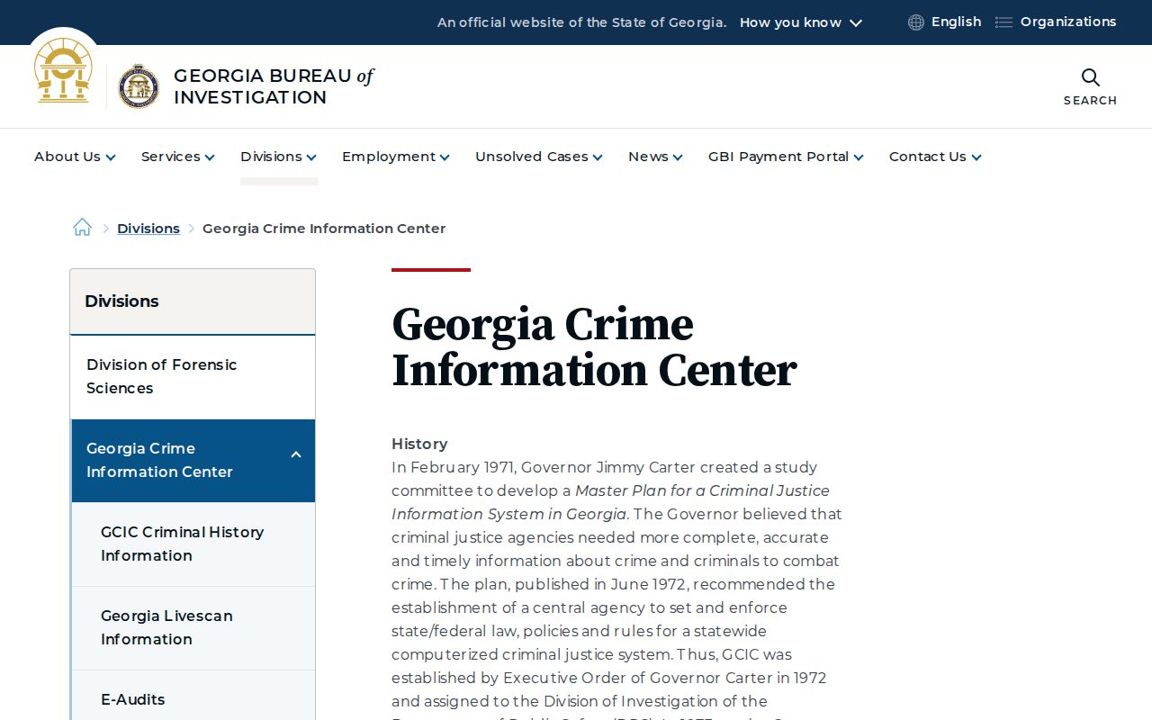 Georgia Crime Information Center system description
